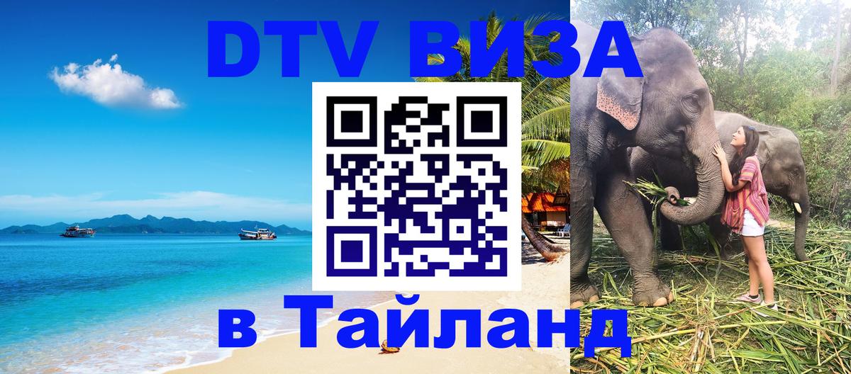 Оформление DTV визы под ключ: стоимость и тарифы, только загранпаспорт - Никосия  05.10.2025 